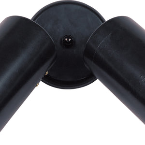 Spots 2-Light Can Wall/Flush Mount
