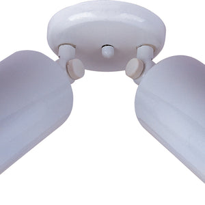 Spots 2-Light Can Wall/Flush Mount
