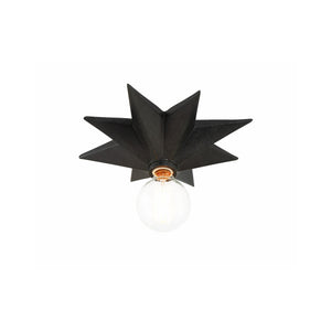 Astro 12'' Flush Mount