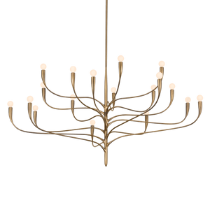Labra Chandelier