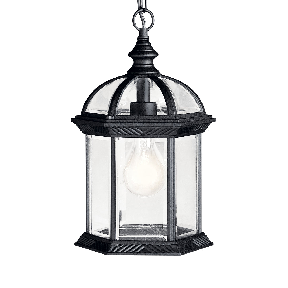 Barrie Outdoor Pendant 1Lt