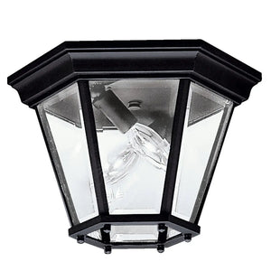 Madison Outdoor Ceiling 2Lt