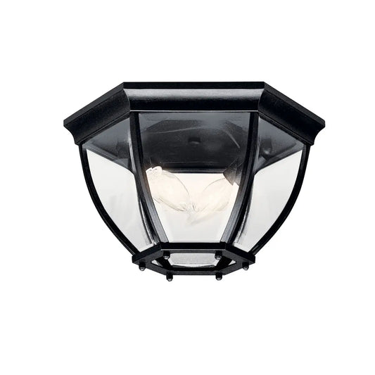 Outdoor Ceiling 2Lt