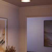 Adelaide Flush Mount