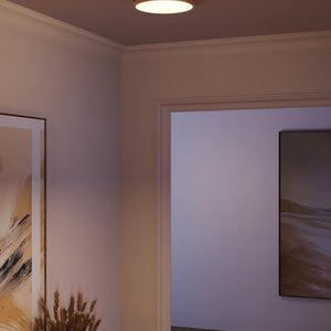 Adelaide Flush Mount