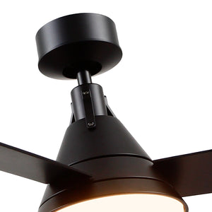 Archer Ceiling Fan