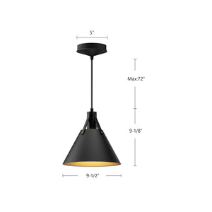 Archer 10-in Matte Black 1 Light Pendant