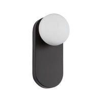 Ariel Wall/Vanity Light