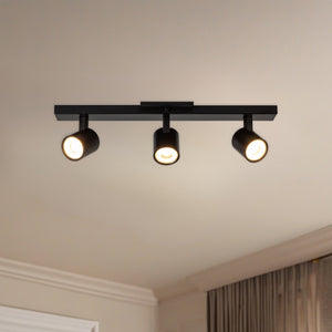 Arnold Track Light