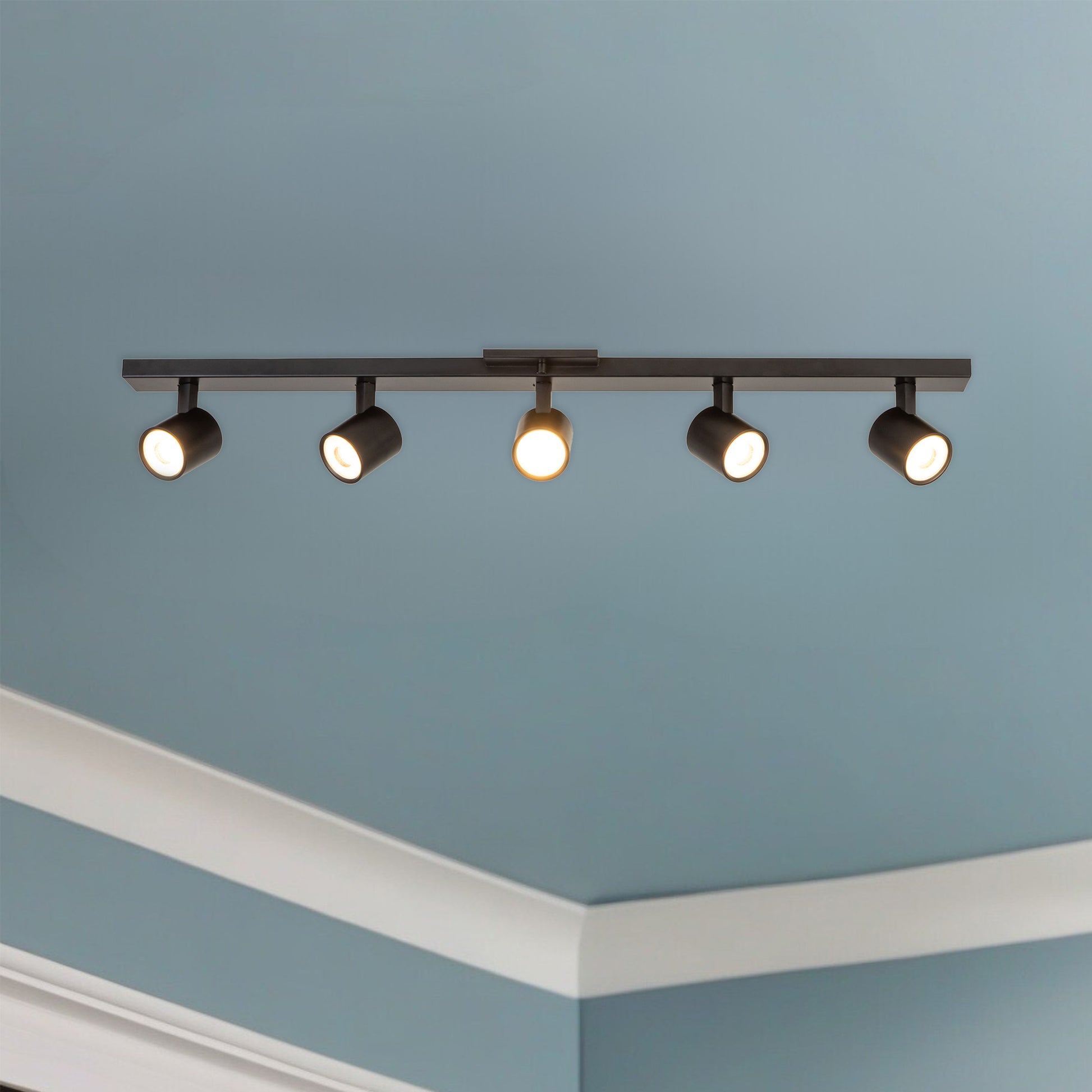 Arnold 5-Head Black LED Track Lights