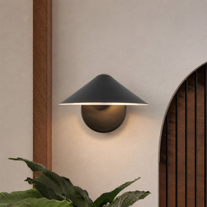 Ashford 9-in Wall Sconce