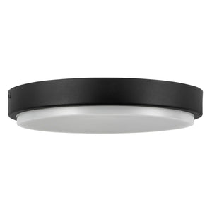 Bailey Exterior Ceiling