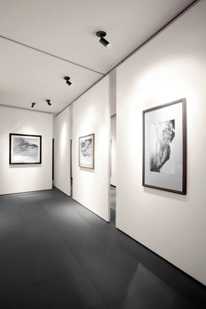 Barclay 3-in Flush Mount