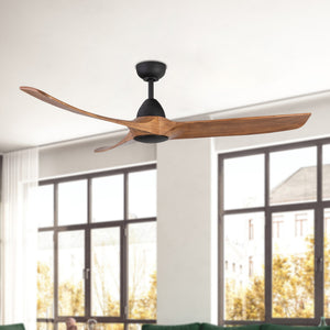 Baylor Ceiling Fan