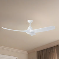 Baylor Ceiling Fan