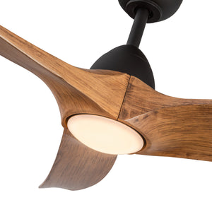 Baylor Ceiling Fan