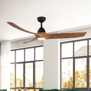Baylor Ceiling Fan