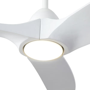 Baylor Ceiling Fan