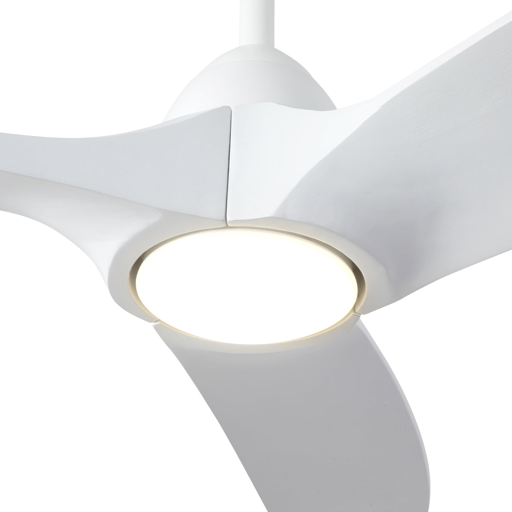 Baylor Ceiling Fan