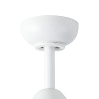 Baylor Ceiling Fan