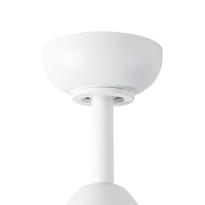 Baylor Ceiling Fan