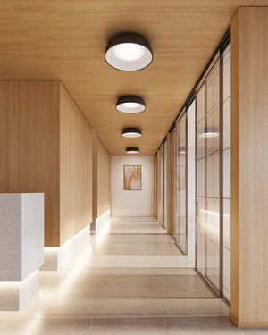 Beacon 20-in Flush Mount