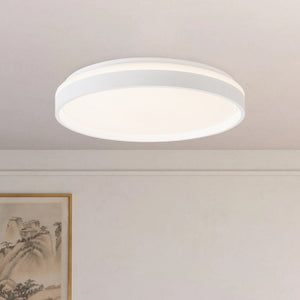 Beanie Flush Mount