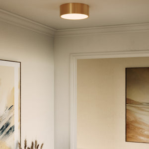 Brisbane Flush Mount