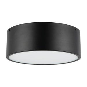 Brisbane Flush Mount