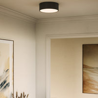 Brisbane Flush Mount