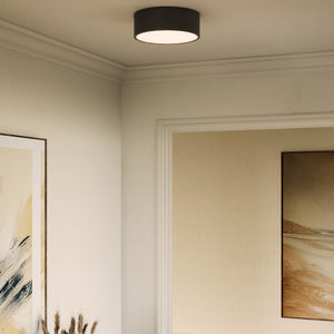 Brisbane Flush Mount