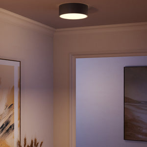 Brisbane Flush Mount