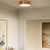 Brisbane Flush Mount