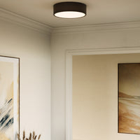 Brisbane Flush Mount