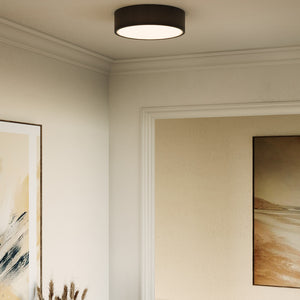 Brisbane Flush Mount