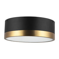 Brisbane Flush Mount
