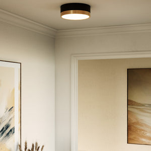 Brisbane Flush Mount