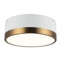 Brisbane Flush Mount