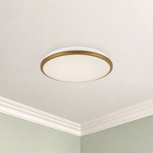 Brook Flush Mount