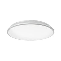 Brook Flush Mount