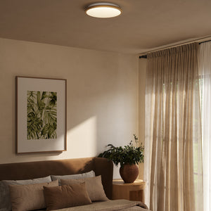Brook Flush Mount