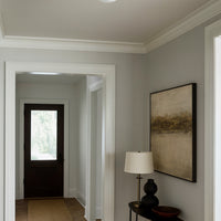 Burlat 12.5-in Sconce/Flush mount