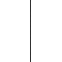 JEMYCA