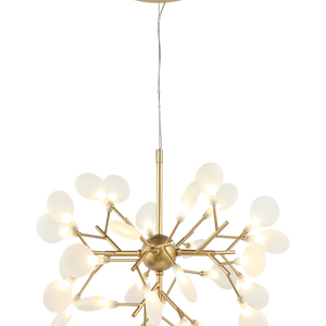HYDRAGEA BLOOM