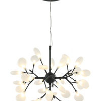 HYDRAGEA BLOOM