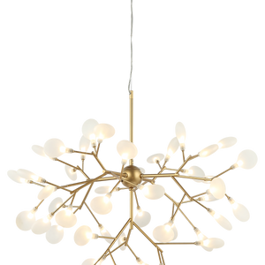 HYDRAGEA BLOOM