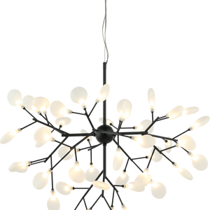 HYDRAGEA BLOOM