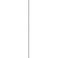 Bolha