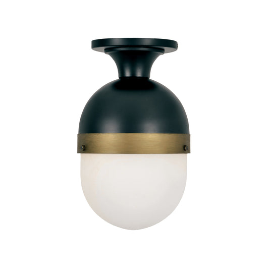 Capsule 8'' Outdoor Semi Flush Mount