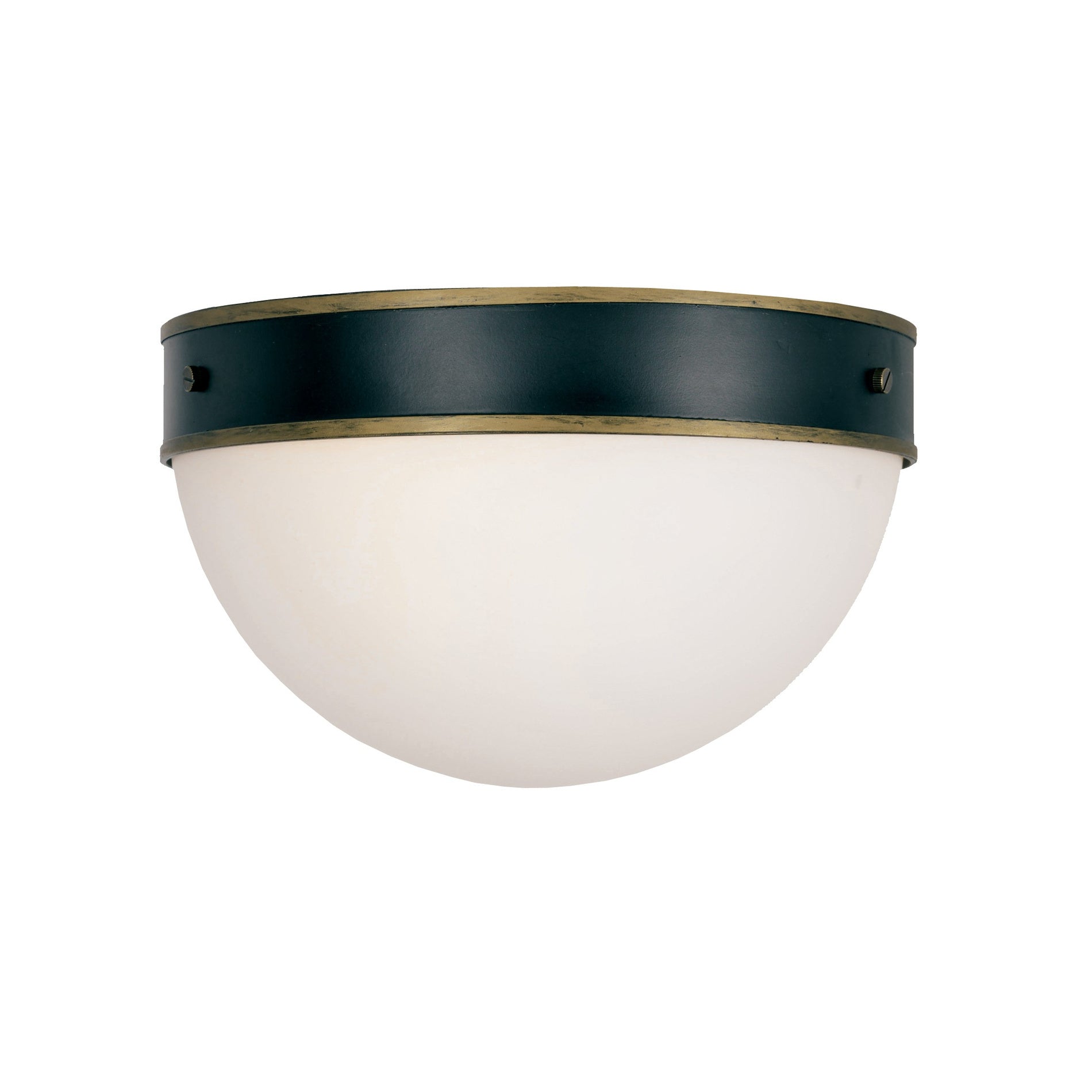 Capsule 12'' Outdoor Flush Mount
